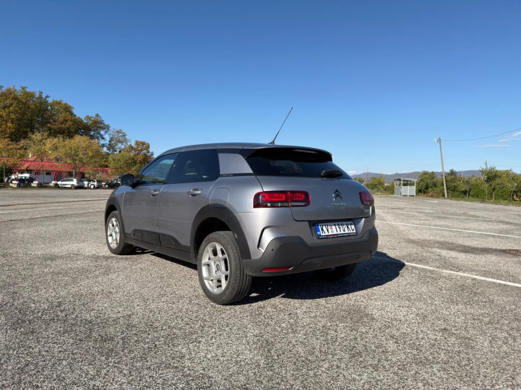 WhatsApp Image 2025-11-01 at 18.11.13 (1)